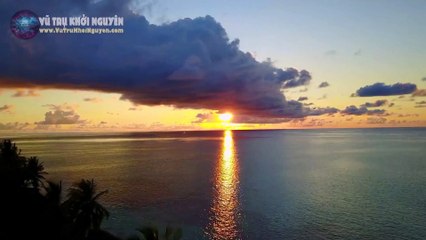 Bí mật nguồn gốc của sự sống