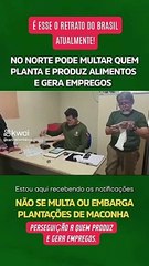 Agricultor paraense é multado e impedido de cultivar e produzir em suas terras