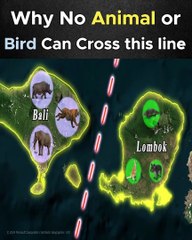 wallance_line The mysterious line between Sea and islands