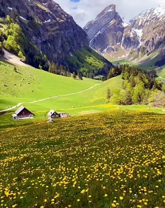 About Swiss