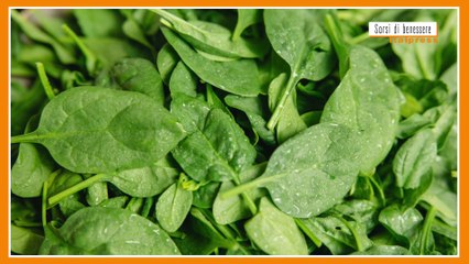 Sorsi di benessere - Pesto di spinacino e nocciole
