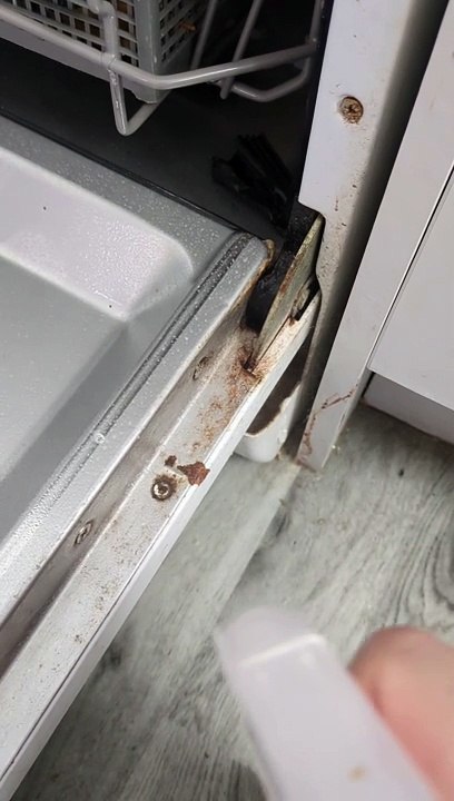 Cleaner Finds Disgusting Discovery In Dishwasher At Popular Airbnb