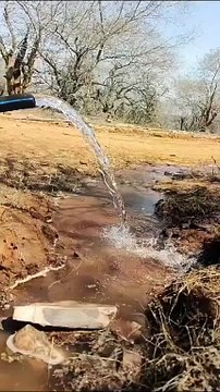 टाइगर के लिए आठ सौ फीट ऊंची टाइगर हिल व मांडू की पहाड़ी पर पहुंचाया पानी