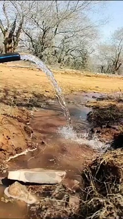 टाइगर के लिए आठ सौ फीट ऊंची टाइगर हिल व मांडू क...