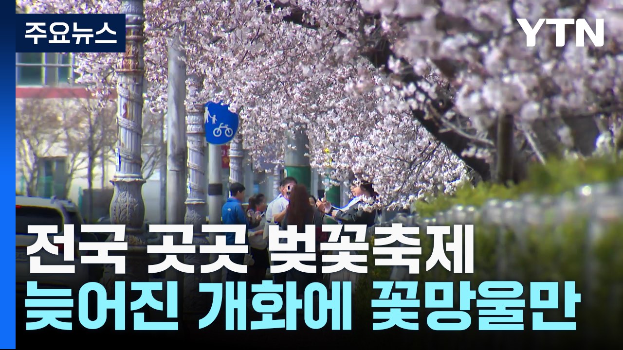 휴일 곳곳 벚꽃축제...아직은 활짝 피지 못한 꽃망울 / YTN