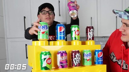 ON REPRODUIT DES CHALLENGES TIKTOK ! (Swan fait des dingueries)