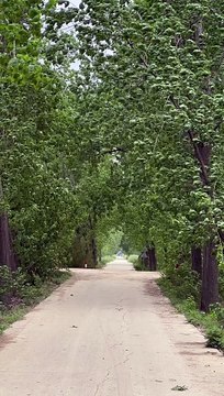 This feelslike going back to the past