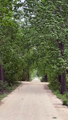 This feelslike going back to the past