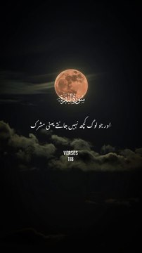 ❣️#islamicvideos#muslim #quran