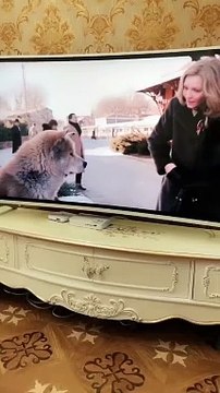 Little Rascals: Puppies Being Puppies 0010