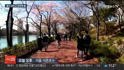 Скачать видео: 봄바람 타고 벚꽃 북상…이번 주 올 들어 가장 따뜻