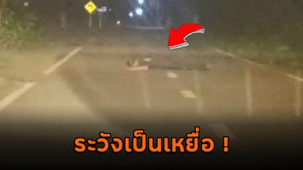 เตือนภัย ! ขับรถกลางคืนเจอคนนอนขวางถนน ระวังเป็นมิจฉาชีพ