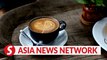 Vietnam News | World Coffee Museum awaits coffee lovers