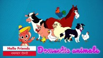 Domestic animals name | pet animals | domestic animals vocabulary | farm animals for kids #animals