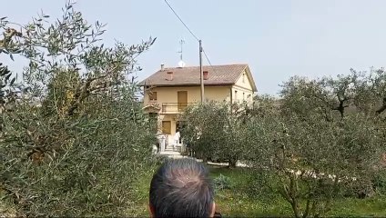 Omicidio e tentato suicidio a Corridonia: il video