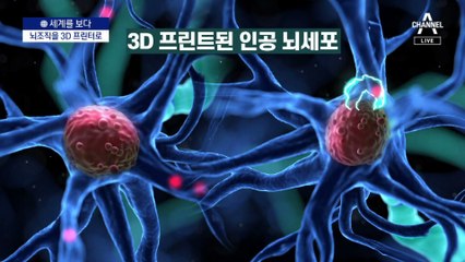 [세계를 보다]세포부터 건물까지…3D 프린터로 ‘뚝딱’