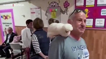 İstanbul'da model tavuğu ile oy kullanan adam güldürdü