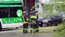 Maltempo, a Milano albero si schianta sulla fermata della linea 14: nessun ferito