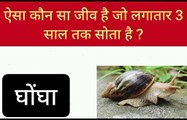 gk question answer || intresting gk || gk in hindi || gk quiz in hindi || gk video || gk quiz