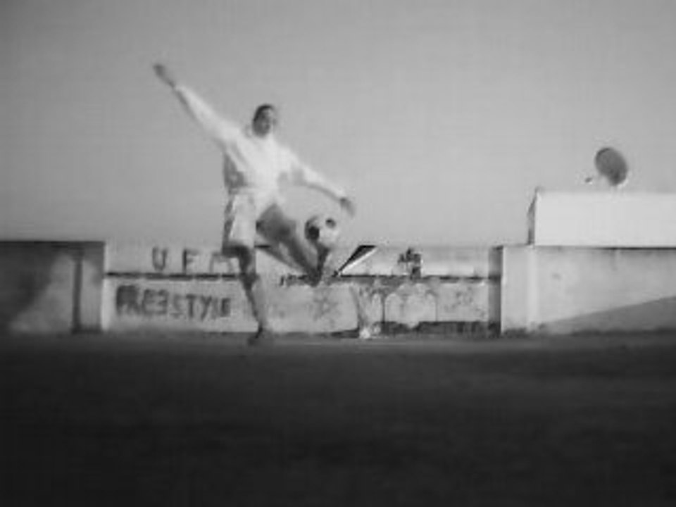 freestyle Trailer