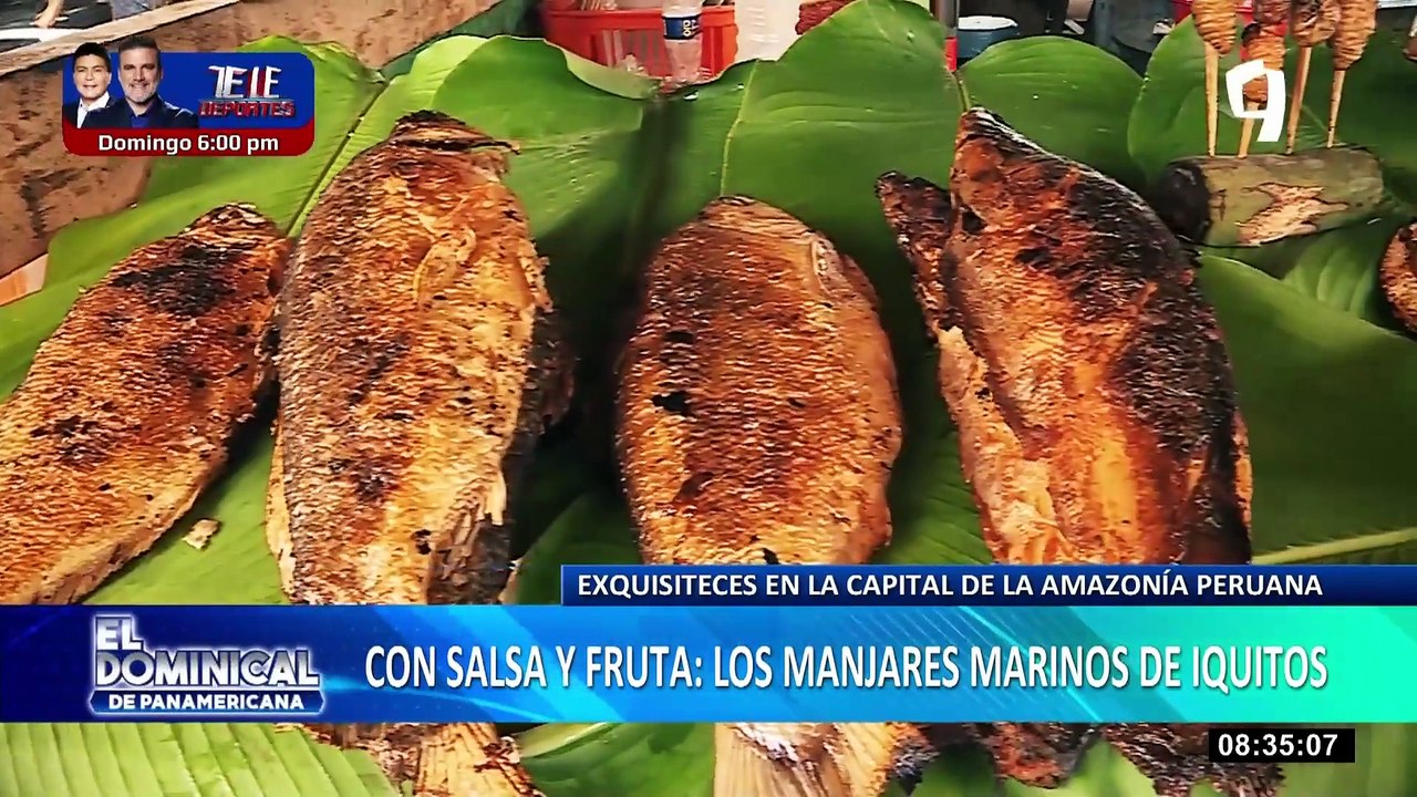 ‘Indiana Jones de la Selva’: Suizo se enamora del Perú y funda un refugio de animales en Iquitos