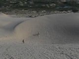 Sunboard sur les Dunes de Joaquina au Brésil !!!