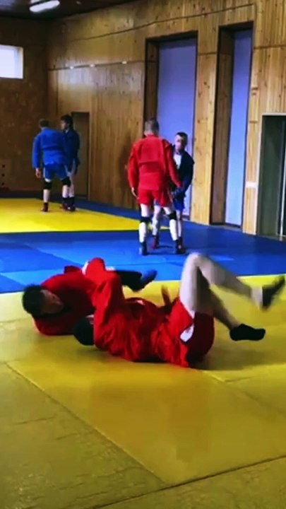 Sambo. Throws