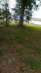 just made it home from shopping at Walmart