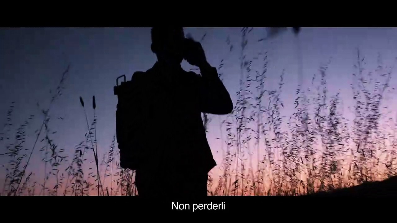 La caccia