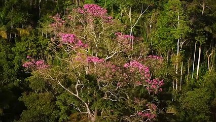 Legacy, notre héritage Streaming VF - FanStream