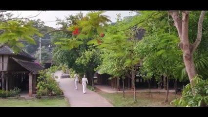 Phim Bỏ Nhà Cùng Bạn Trai Lên Núi Trồng Chè Và Cái Kết - Review Phim Ngôn Tình Hay