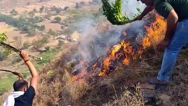 अलवर के नांदनहेड़ी के पहाड़ में लगी आग