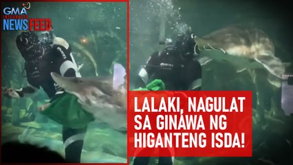 下载视频: Lalaki, nagulat sa ginawa ng higanteng isda! | GMA Integrated Newsfeed