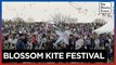 Kites dot the sky in US capital for Cherry Blossom Festival