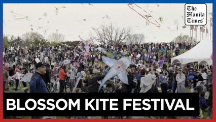 Kites dot the sky in US capital for Cherry Blossom Festival