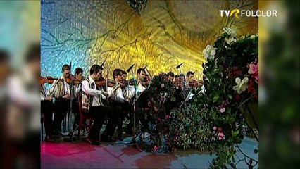 Nicolae Muresan - Tine-ma, Doamne pe mine (Tezaur folcloric - Mostenitorii - M.A.I. Bucuresti 2008)