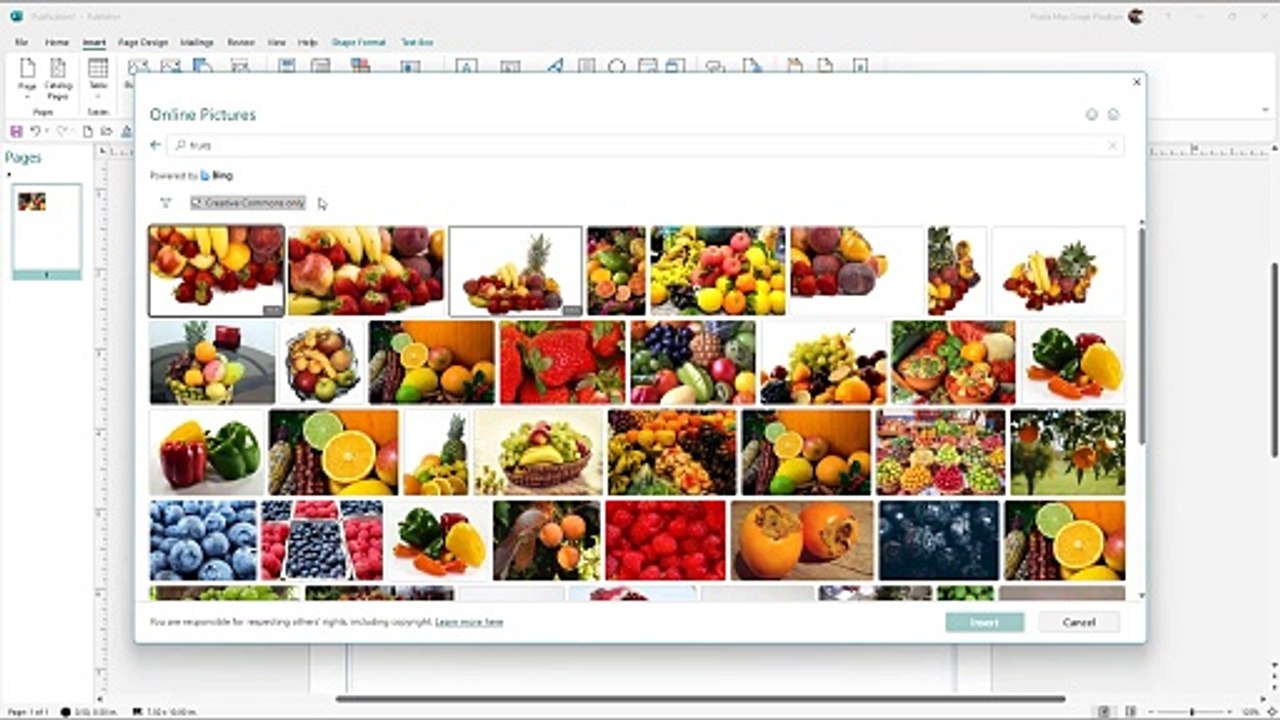 Microsoft Publisher Section 38 Inserting Pictures from Online Source