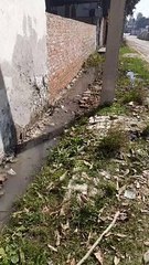 वार्डों में बिना बारिश कैसे भर गया पानी...देखें वीडियो