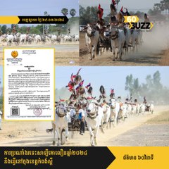 ការ​ប្រណាំង​រទេះសាឡី​គោ​លឿនឆ្នាំ​២០២៤ នឹង​​ធ្វើ​នៅក្នុង​​ខេត្តកំពង់ស្ពឺ