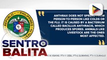 Mga kaso ng anthrax sa labas ng bansa, binabantayan ng DOH