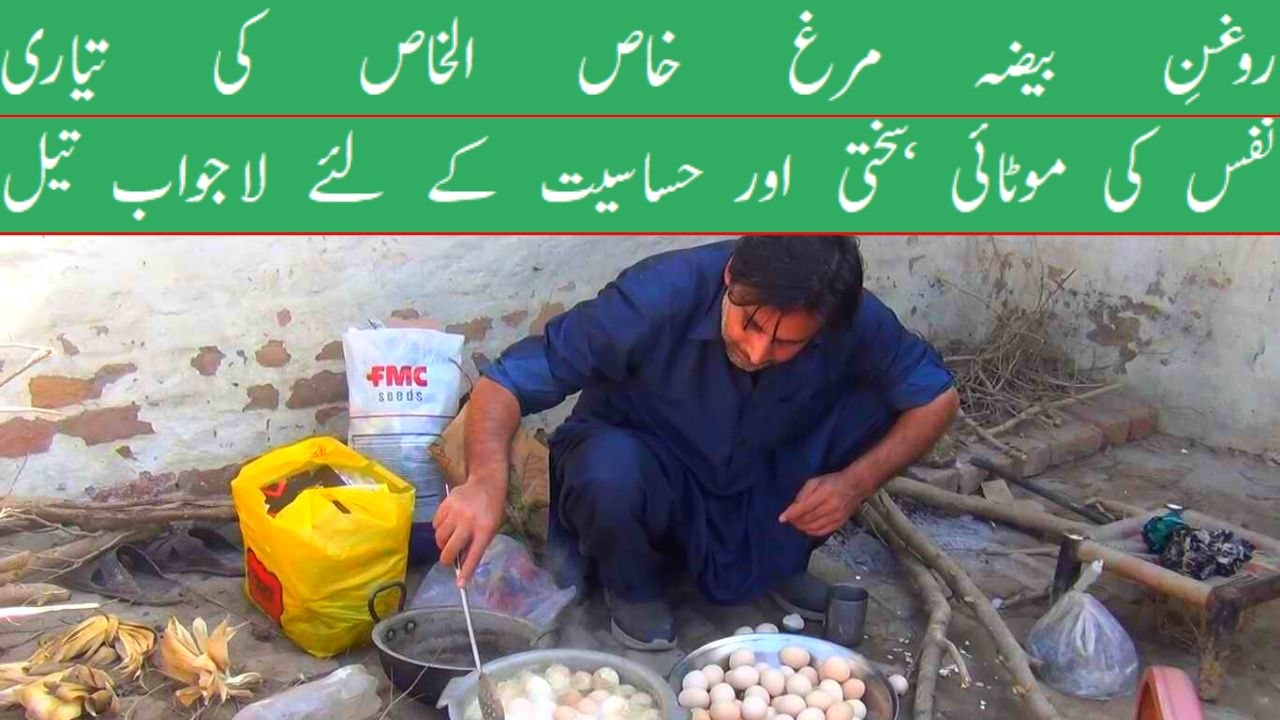 Roghan e Baiza Murgh Banane Ka Tarika Nafs ki motai aur lambai ke