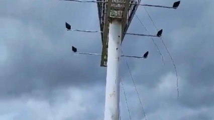 La borrasca Nelson ha dado mucho trabajo a los bomberos de Valladolid