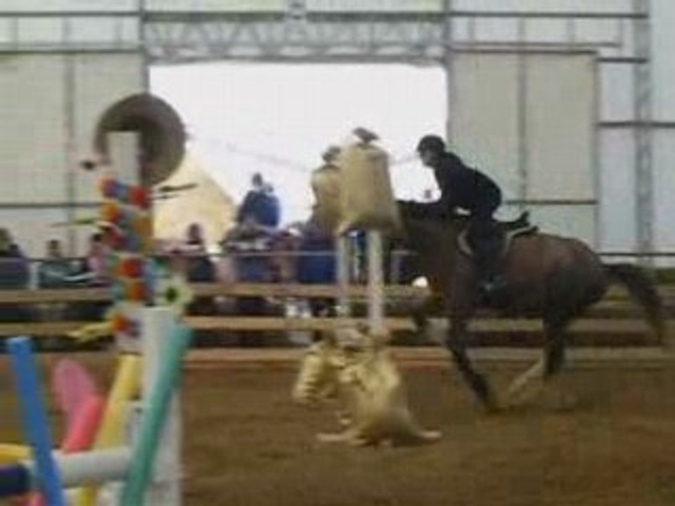 Compétition saut 2008 vrai