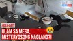Huli-cat! Ulam sa mesa, misteryosong naglaho?! | GMA Integrated Newsfeed