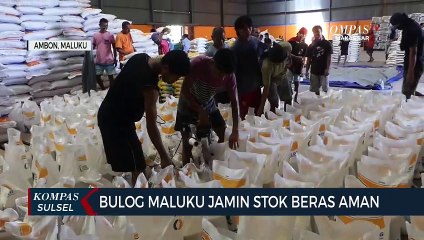 Bulog Malut Jamin Stok Beras Aman Hingga 2 Bulan Kedepan
