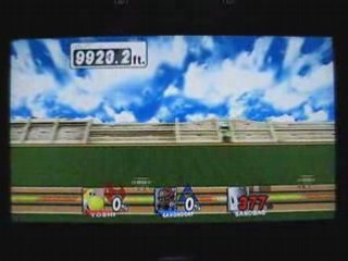 HRC Yoshi & Ganondorf