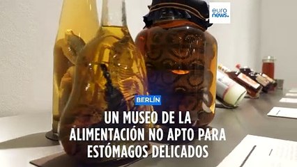 El Museo Más Repugnante de Berlín: ¿Hasta Dónde Llegarás? 🤢