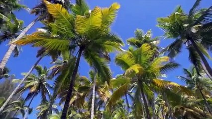 La ciudad inteligente 'española' de 8.000 millones en República Dominicana