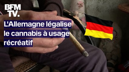 L'Allemagne devient le troisième pays de l'Union européenne à légaliser le cannabis récréatif