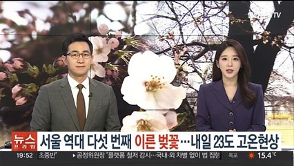 서울 역대 다섯 번째 이른 벚꽃…내일 23도 고온현상